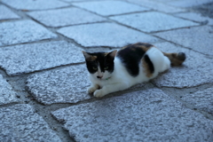このヒンヤリした、石畳が気持ちいい