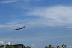 夏空へ