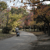 notitle