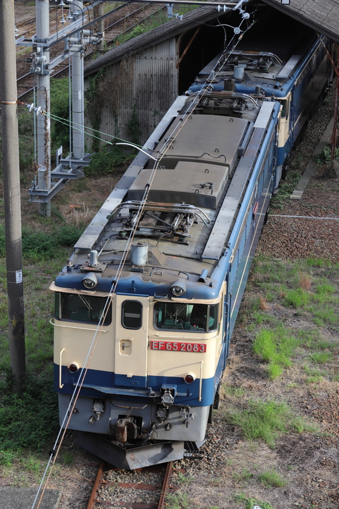 往年の名機。　貨物・寝台列車の花形機関車。