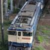 往年の名機。　貨物・寝台列車の花形機関車。