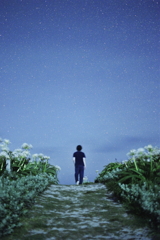 星追人《辿》