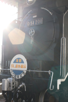 D51201