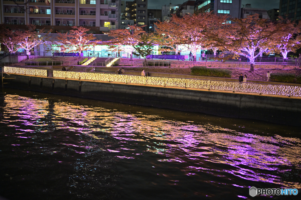 目黒川夜景＃5