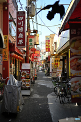 横浜中華街＃7