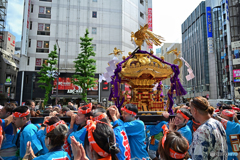 花園神社 神輿渡御