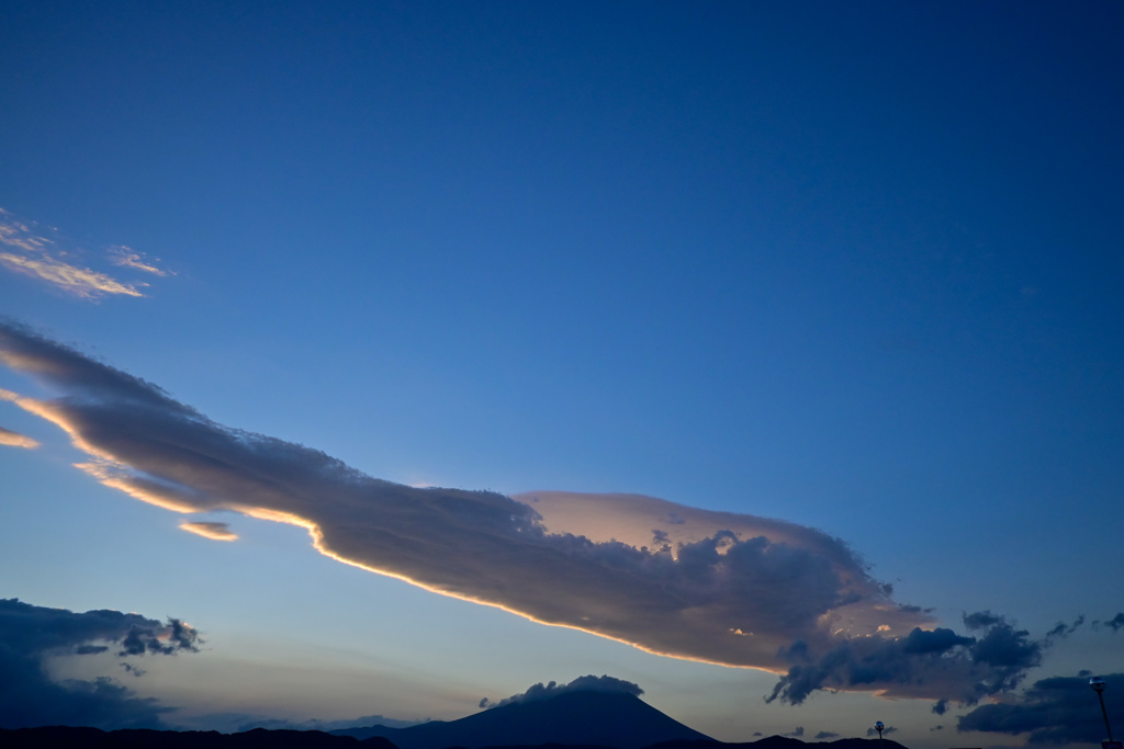 大空へ羽ばたく