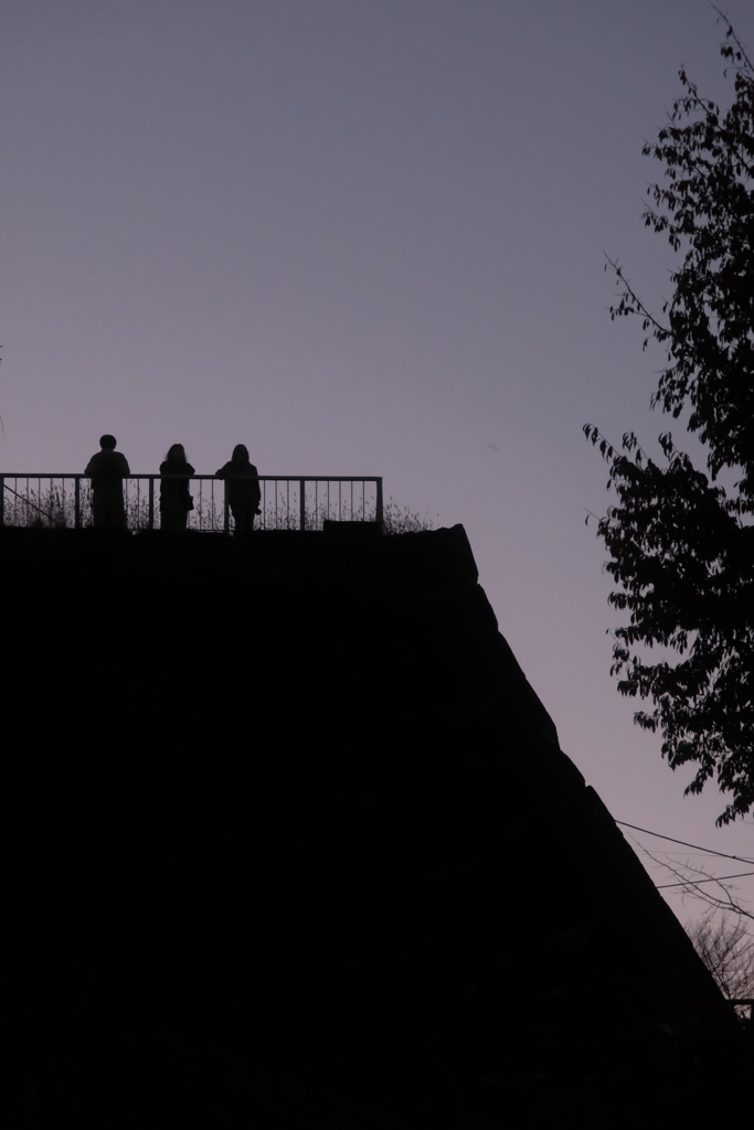 城址から眺める