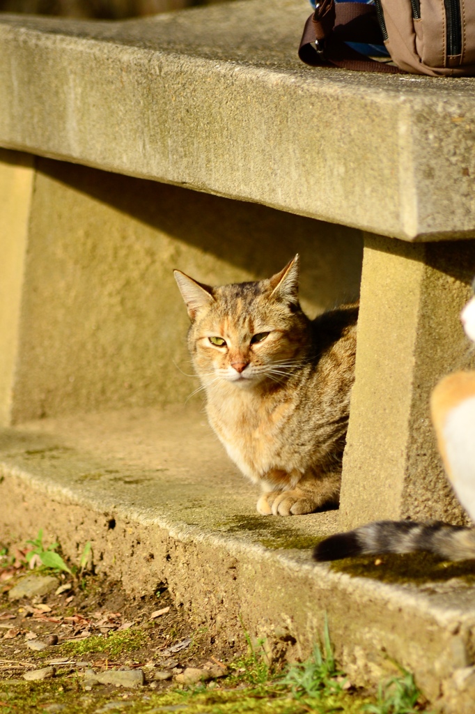 寝てる所ごめんなさい