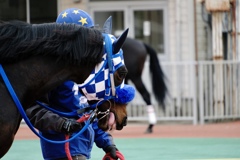 岩手競馬　春競馬　2