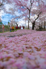 雪みたい