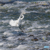 Water Dance