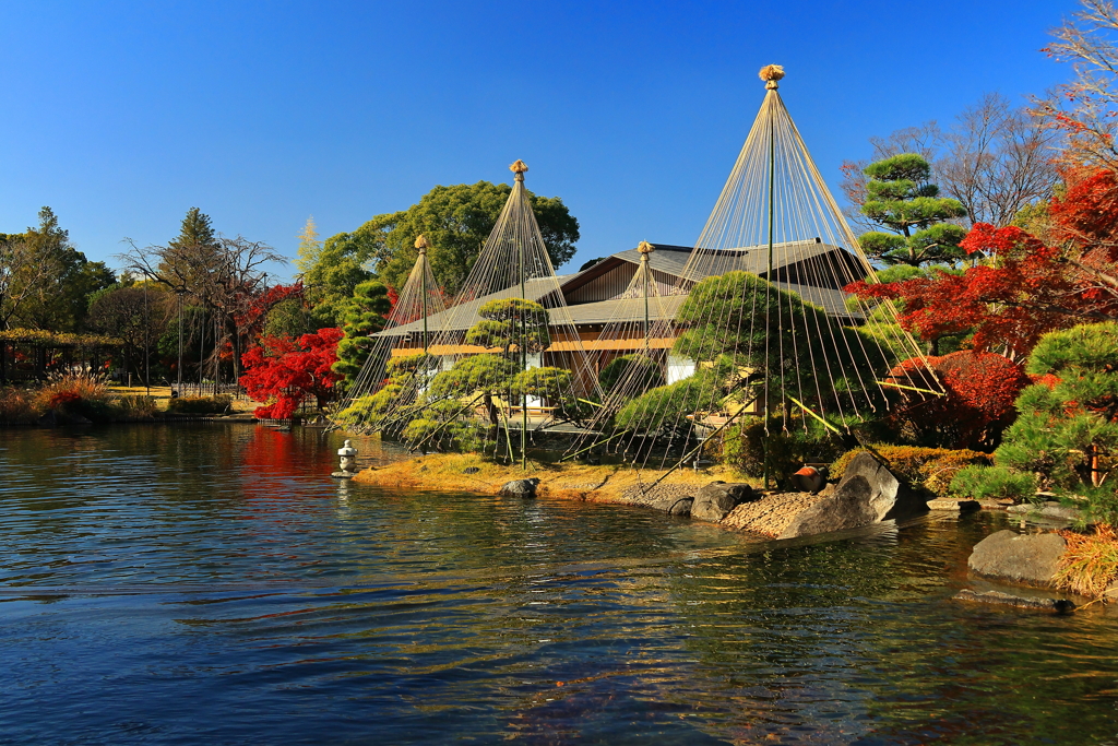 冬支度の行船公園②