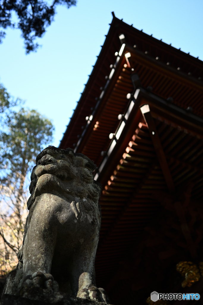 2023-11-22-017榛名神社 三重塔2 無編集