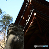 2023-11-22-017榛名神社 三重塔2 無編集