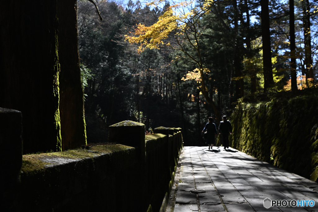 2023-11-22-008榛名神社 千本杉の通路の二人 無編集