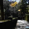 2023-11-22-008榛名神社 千本杉の通路の二人 無編集