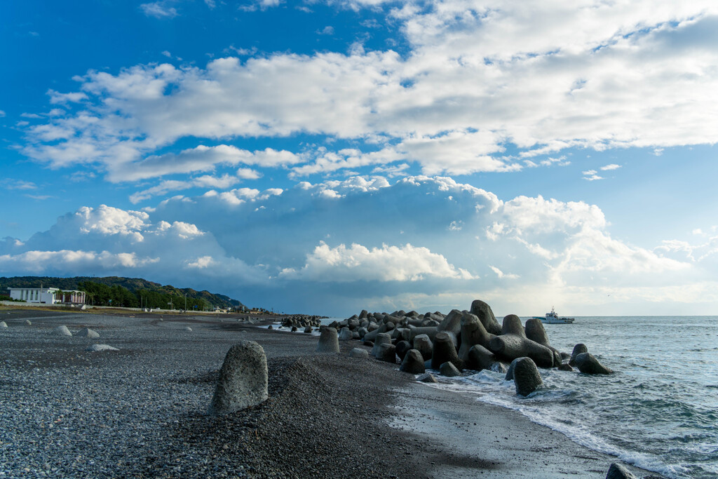 海