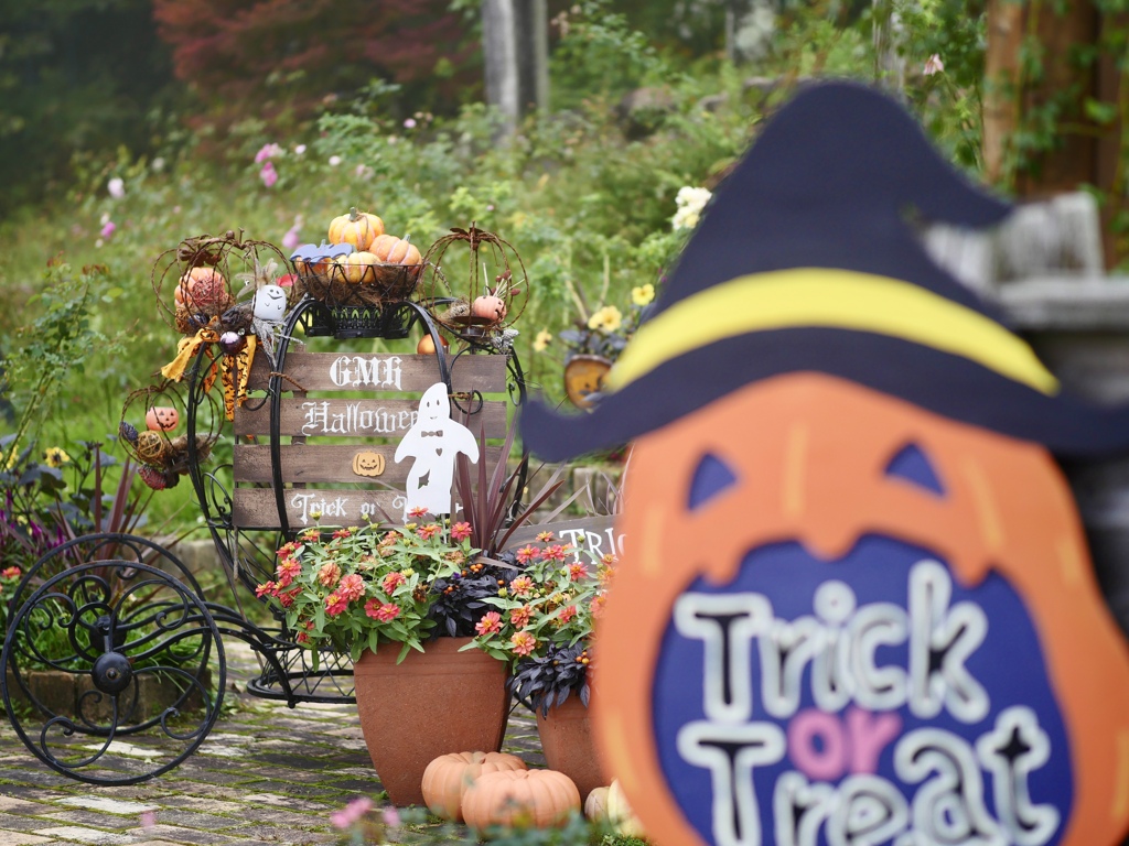 Trick or Treat