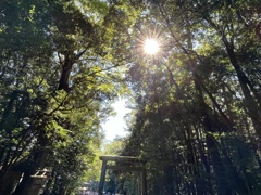 伊勢　内宮