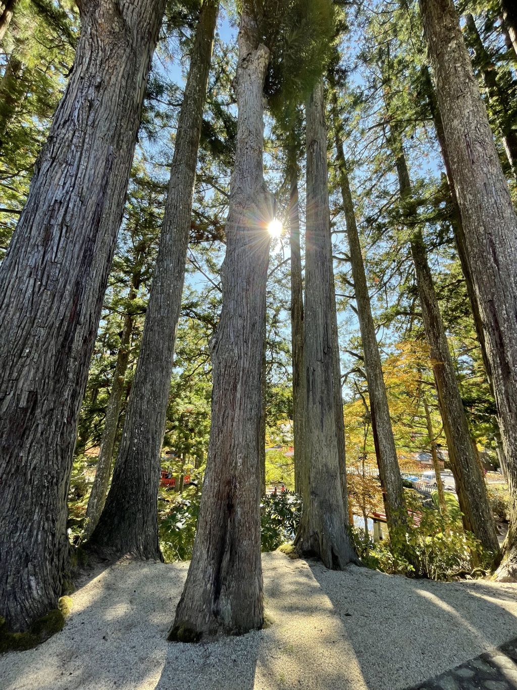 高野山