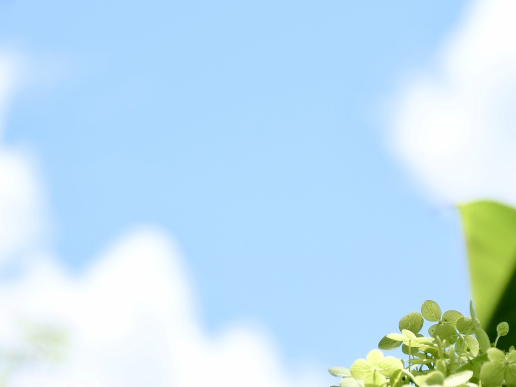 夏空