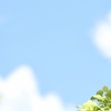 夏空