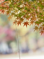 2025秋の思い出②