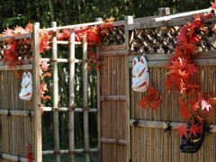 秋の装い 秋の装い