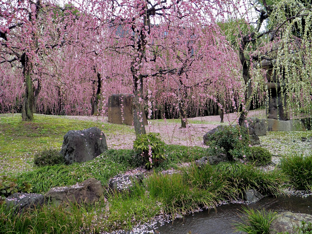 城南宮①