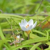 春の目覚め