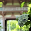 久安寺