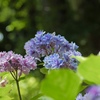 豪華に