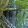 涼しげな滝