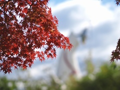 幻、、、ではありません