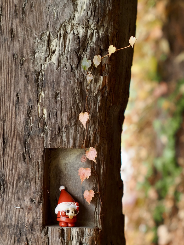 こんなところに、、、