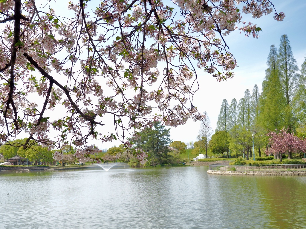 春の公園