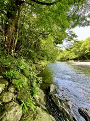 五十鈴川