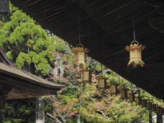 高野山　御影堂