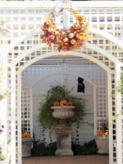 Happy Halloween!