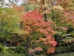 紅葉の中を歩く