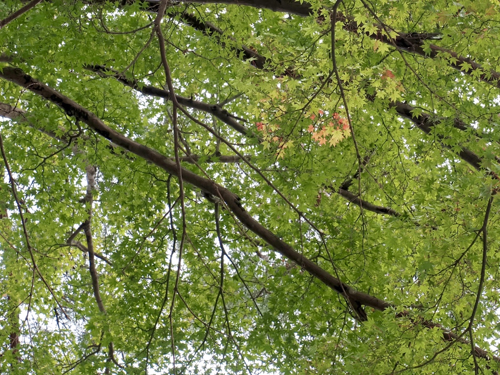 少しずつ