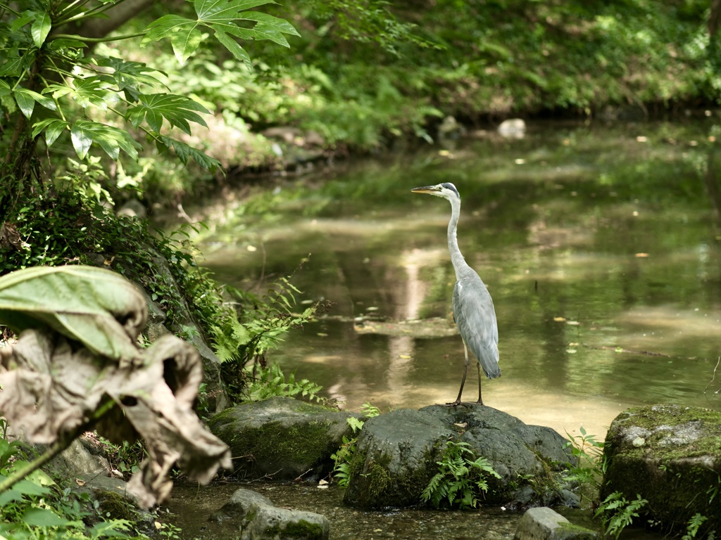 佇む