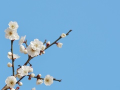 青空と