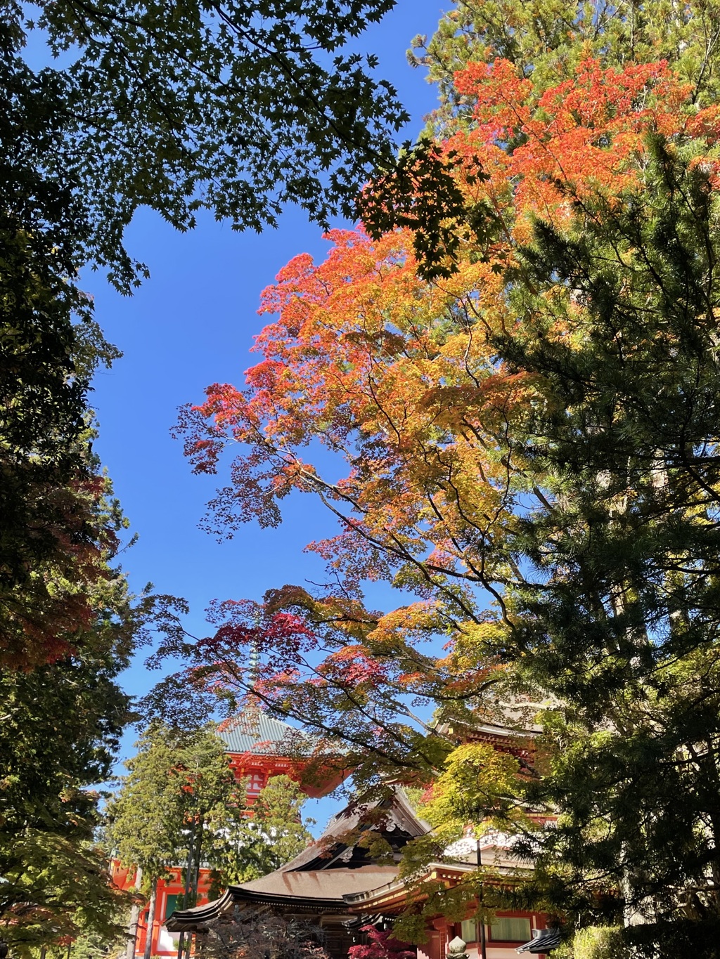 高野山