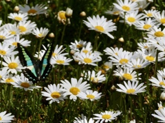 たまたま、、、