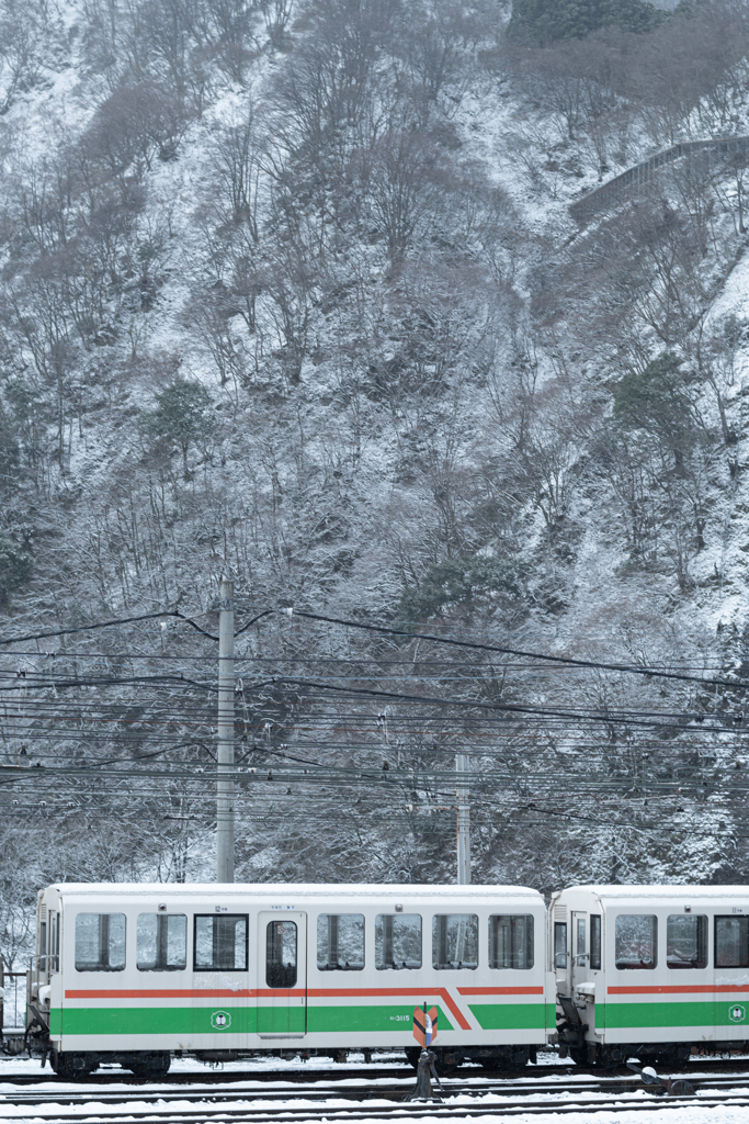 黒部の山々と峡谷鉄道