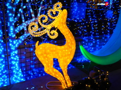 PC050290