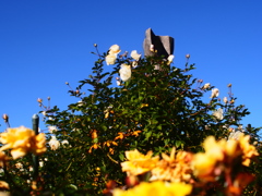 PC170038