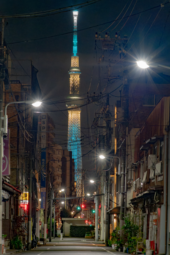 下町の夜景:東京スカイツリー